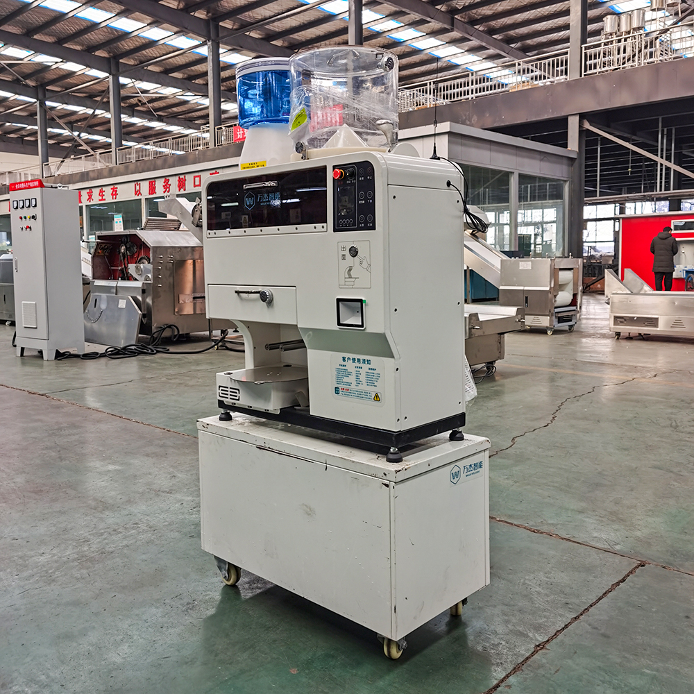 Chinese fresh automatic noodle making machine